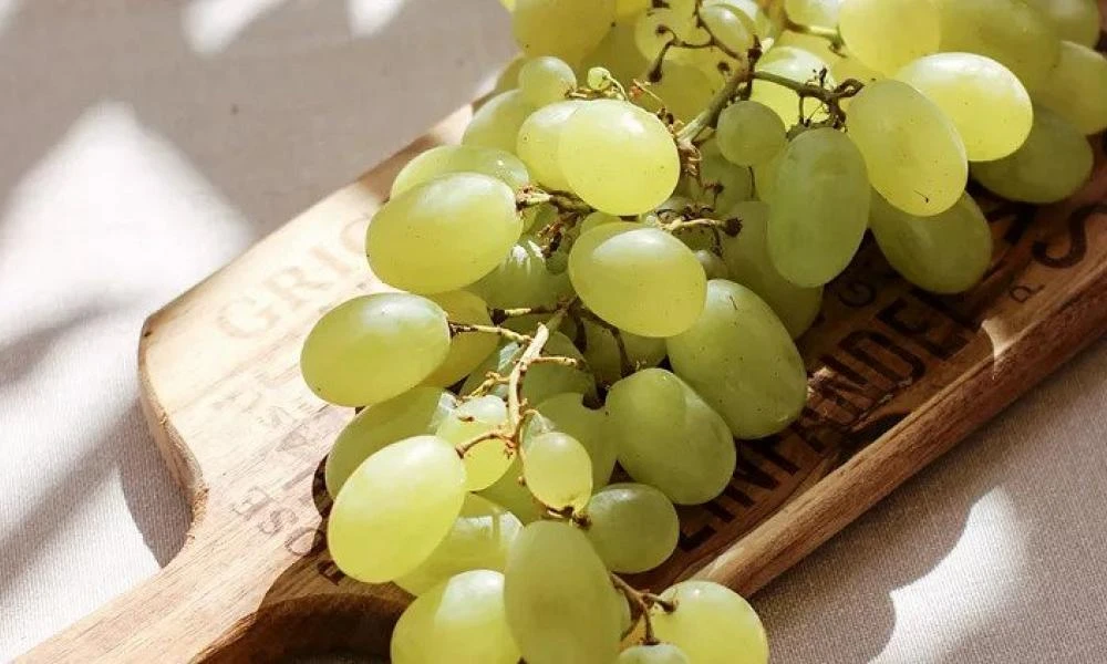 Ανείπωτη τραγωδία στην Τήνο: 3χρονο παιδάκι πνίγηκε από σταφύλι!